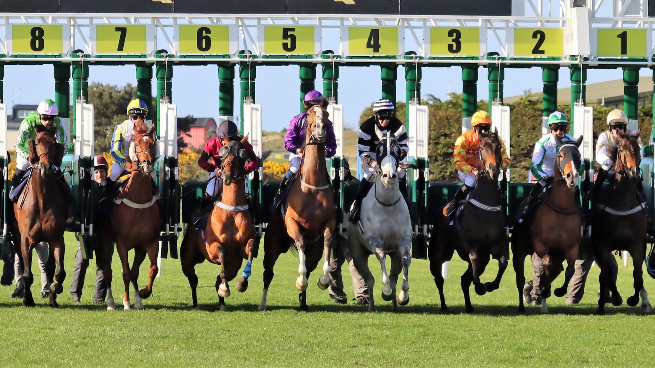 horse racing betting online